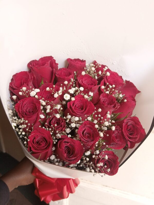 20 RED ROSES