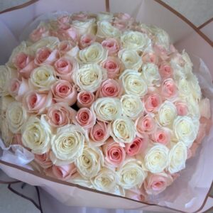 Blush elegance