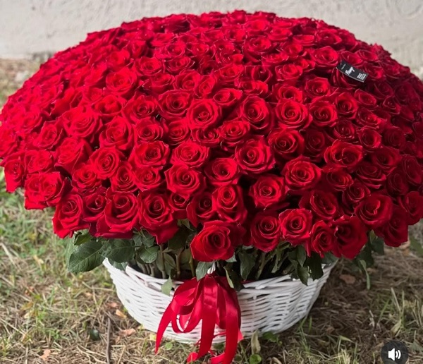 Scarlet Love Basket